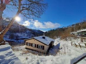 Ferienhaus Denise Harz